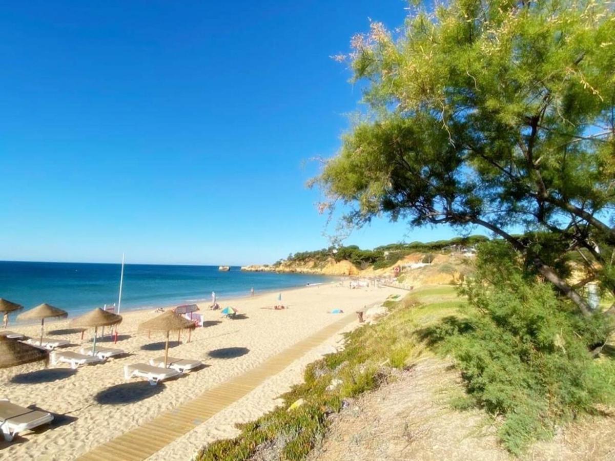 Coral By Albufeira Rental Eksteriør bilde